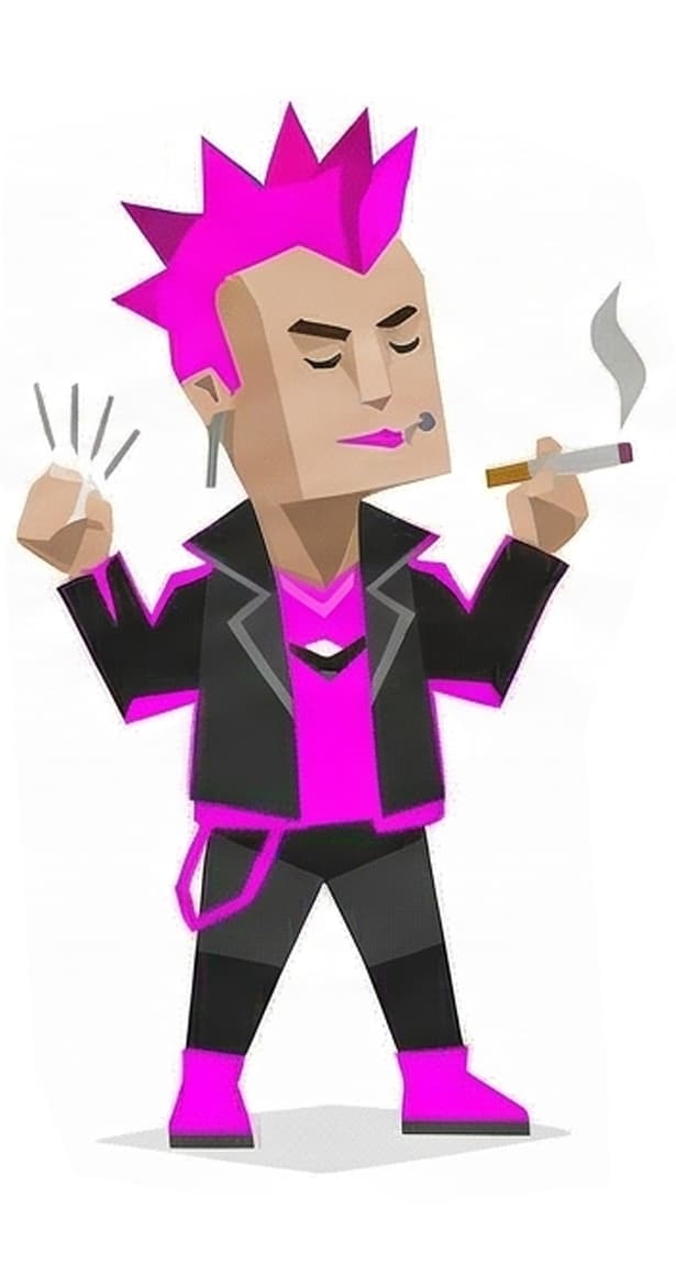 朋克养生辩证法师 类型插图